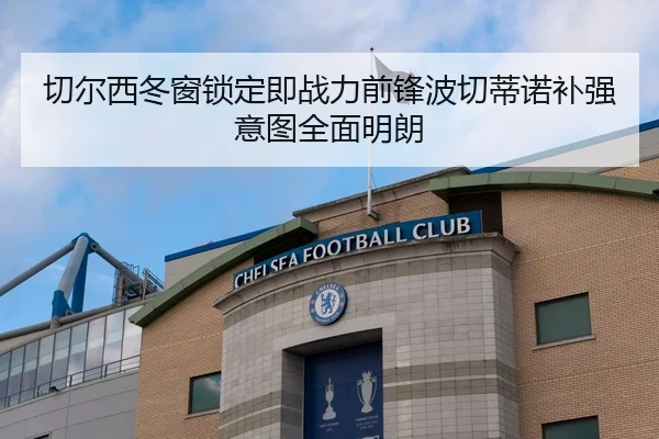 切尔西冬窗锁定即战力前锋波切蒂诺补强意图全面明朗